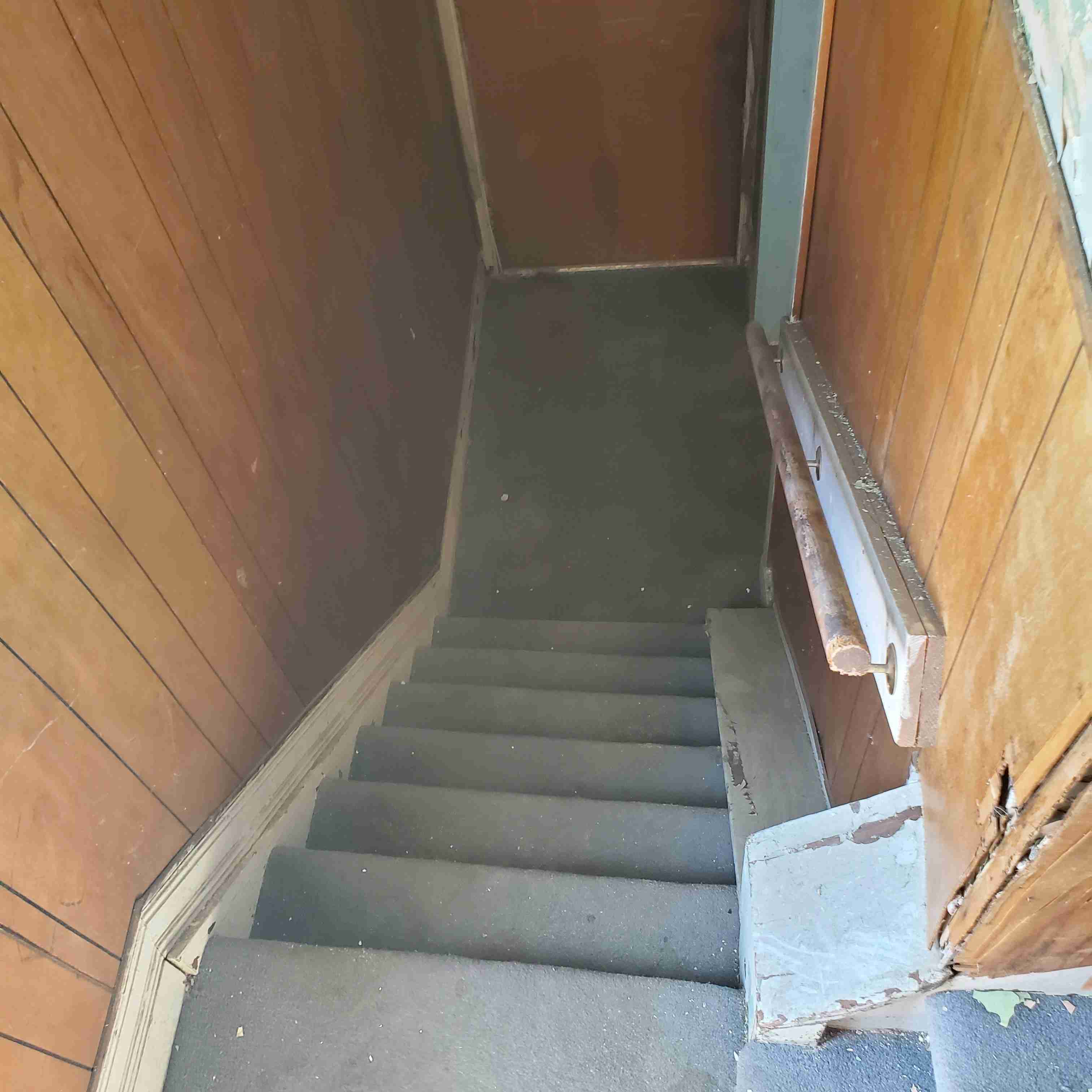 20200812_130423 (2).jpg